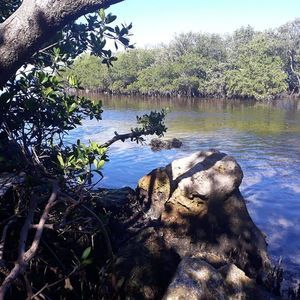 Meet your Posher, Marlane